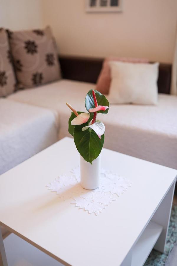 Apartment Rita زادار المظهر الخارجي الصورة